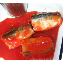 Sardinenkonserven in Tomatensauce